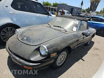 1981 Alfa Romeo Spider Veloce — samochód z USA z aukcji Manheim, oferta Kup Teraz w AUTOMAX