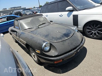 1981 Alfa Romeo Spider Veloce – miniatura 3