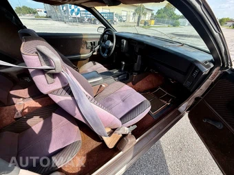 1984 Chevrolet Camaro Berlinetta - miniatura 14