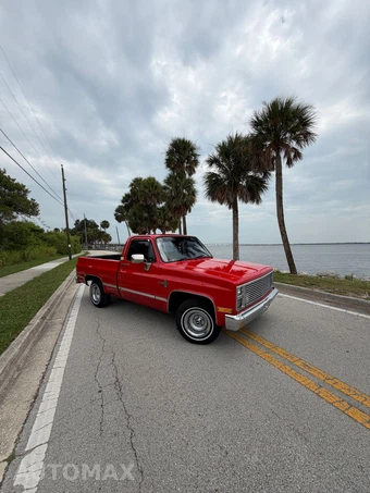 1985 Chevrolet C10 - car from the USA, Manheim Buy-Now listing at AUTOMAX