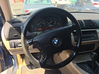 2001 BMW X5 Sports Activity Vehicle 3.0i - miniatura 10