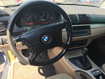2001 BMW X5 Sports Activity Vehicle 3.0i - miniatura 11