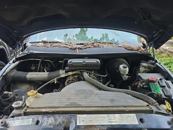 2001 Dodge Ram 1500 Regular Cab Medium Bed – miniatura 18