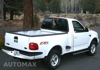 2003 Ford F-150 XL Regular Cab Short Bed - miniatura 2