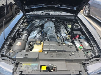 2003 Ford Mustang SVT Cobra Convertible - miniatura 15