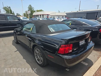 2003 Ford Mustang SVT Cobra Convertible - miniatura 6