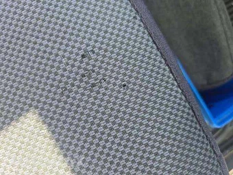 2003 Nissan Frontier SC Crew Cab Short Bed – miniatura 36