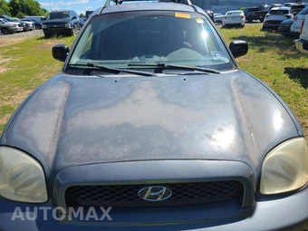 2004 Hyundai Santa Fe GLS – miniatura 22