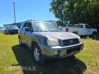 2004 Hyundai Santa Fe GLS – miniatura 4