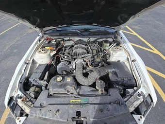 2005 Ford Mustang V6 Premium Convertible - miniatura 14