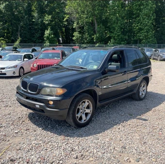 2006 BMW X5 Sports Activity Vehicle 3.0i - miniatura 2