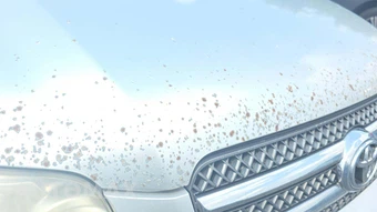2006 Toyota Highlander Hybrid Limited - miniatura 34