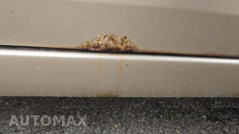 2007 Honda Accord Sedan EX-L – miniatura 19