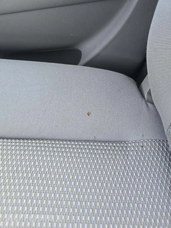 2007 Toyota Tacoma Regular Cab Medium Bed – miniatura 22