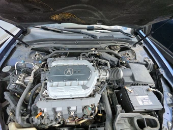 2009 Acura TL w/Technology Pkg – miniatura 15