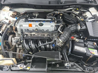 2009 Honda Accord Sedan EX-L - miniatura 15