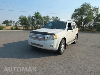 2010 Ford Escape XLT - car from the USA, Manheim Buy-Now listing at AUTOMAX
