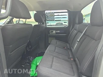 2010 Ford F-150 FX4 Crew Cab Medium Bed – miniatura 16