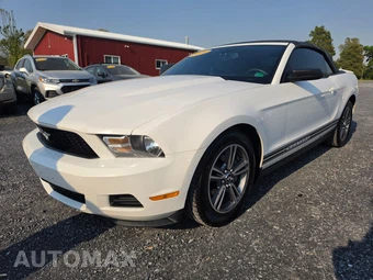 2010 Ford Mustang V6 Premium Convertible - car from the USA, Manheim Buy-Now listing at AUTOMAX