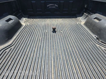 2010 Ford Super Duty F-250 Cabela's Crew Cab Medium Bed - miniatura 16