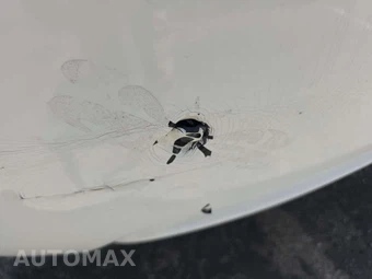 2010 Honda Civic Coupe LX – miniatura 30