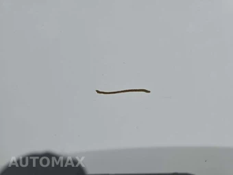 2010 Honda Civic Coupe LX – miniatura 32