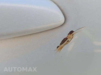 2010 Lexus RX 350 – miniatura 38