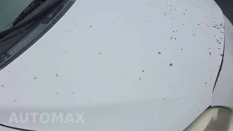 2010 Toyota Corolla - miniatura 49