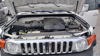 2010 Toyota FJ Cruiser w/Rear Doors - miniatura 9