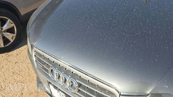 2011 Audi A4 2.0T Premium Plus Sedan – miniatura 27