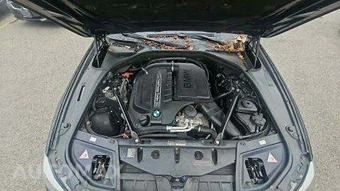 2011 BMW 5 Series Sedan 535i xDrive - miniatura 25