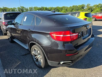 2011 BMW X6 Sports Activity Vehicle xDrive50i - miniatura 6