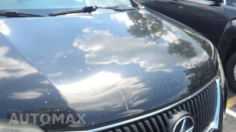 2011 Lexus RX 350 - miniatura 23