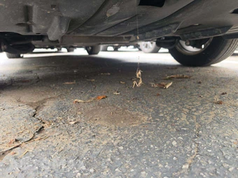 2011 Toyota Sienna LE 8-Passenger 119.3" WB - miniatura 16