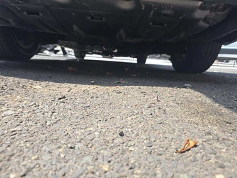 2011 Toyota Sienna LE 8-Passenger 119.3" WB - miniatura 16