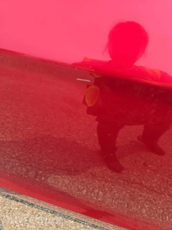 2012 Ford Mustang GT Premium Coupe - miniatura 31