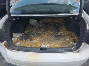 2013 Volkswagen Passat 2.5L S – miniatura 14
