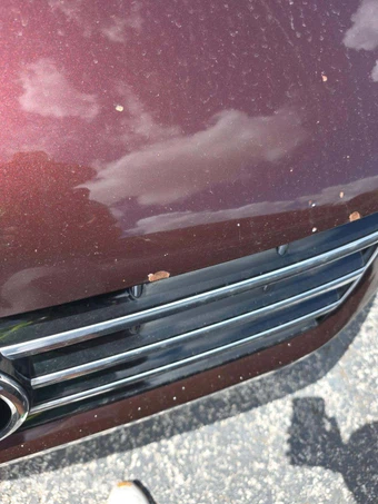 2013 Volkswagen Passat TDI SE w/Sunroof & Navigation - miniatura 21