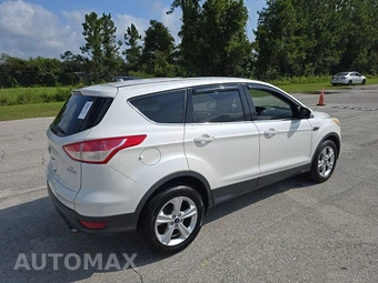 2014 Ford Escape SE - miniatura 4