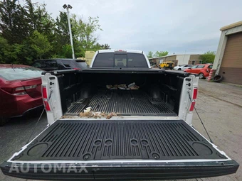 2014 Ford F-150 Platinum Crew Cab Short Bed - miniatura 14