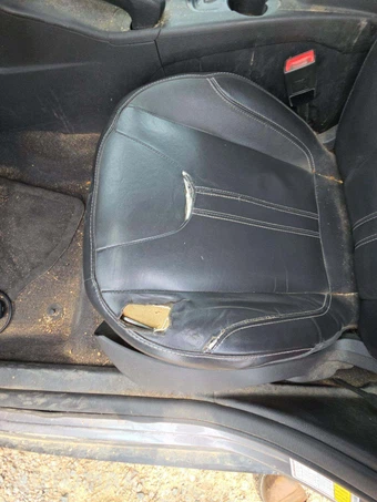 2014 Ford Focus Titanium Sedan – miniatura 22