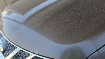 2014 Nissan Murano S - miniatura 26