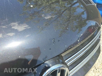 2014 Volkswagen Tiguan SE w/Appearance - miniatura 22