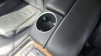 2015 Audi Q7 TDI Premium Plus – miniatura 17