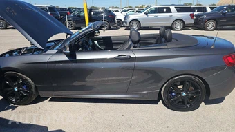 2015 BMW 2 Series Convertible M235i - miniatura 19
