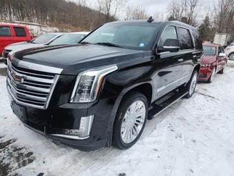 2015 Cadillac Escalade Platinum 1SD