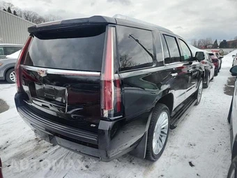 2015 Cadillac Escalade Platinum 1SD – miniatura 2
