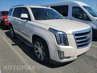 2015 Cadillac Escalade Standard 1SA – miniatura 3