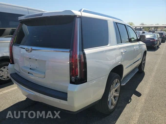 2015 Cadillac Escalade Standard 1SA – miniatura 4