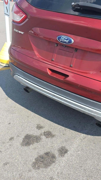 2015 Ford Escape SE - miniatura 23